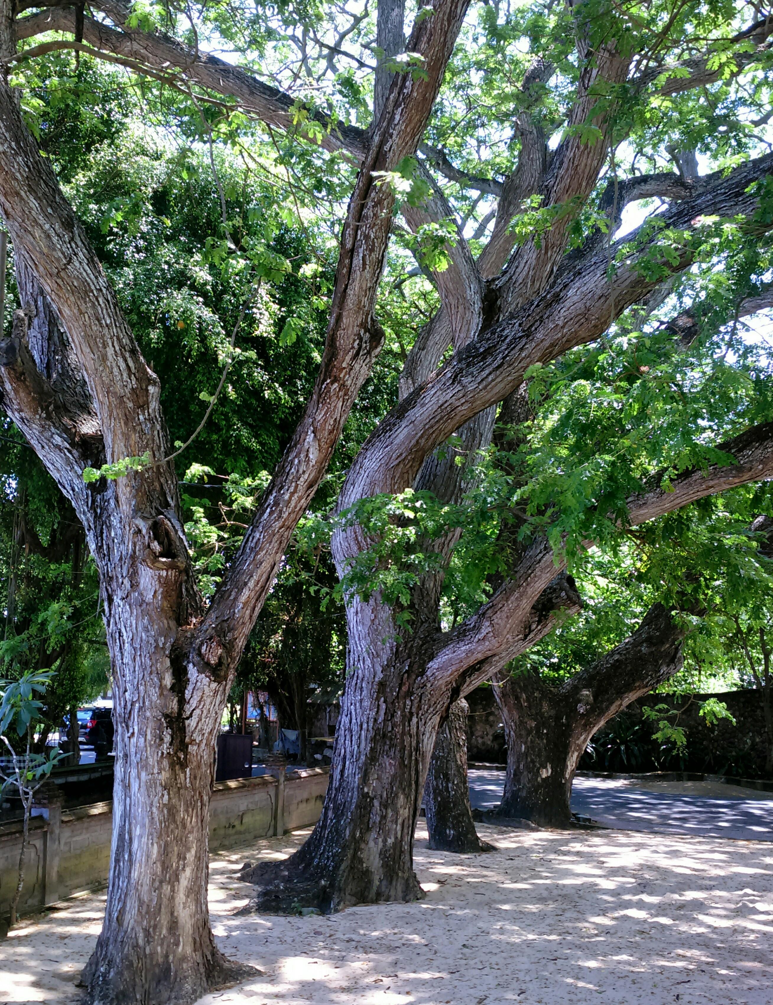 Taksu Sanur Hotel Esterno foto